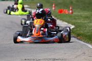 20110501_ales_agnus (2523)
